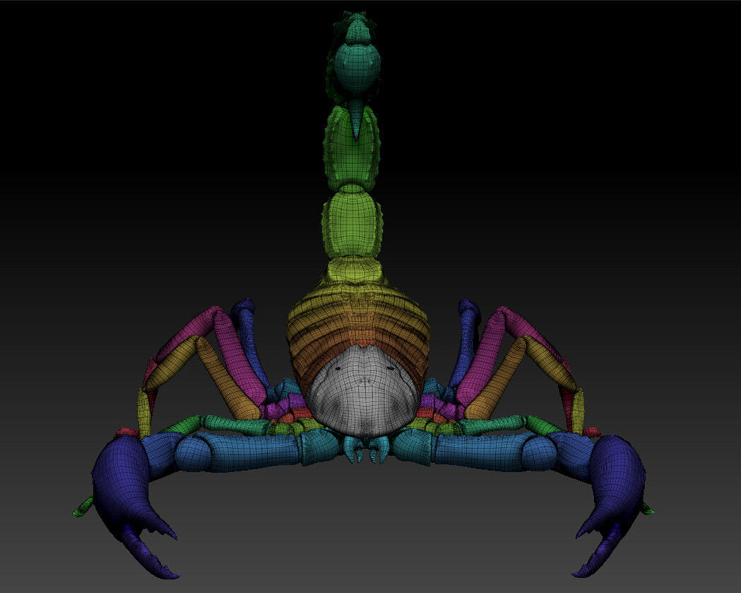 Photorealistic Black Scorpion Low-poly 3D model_14