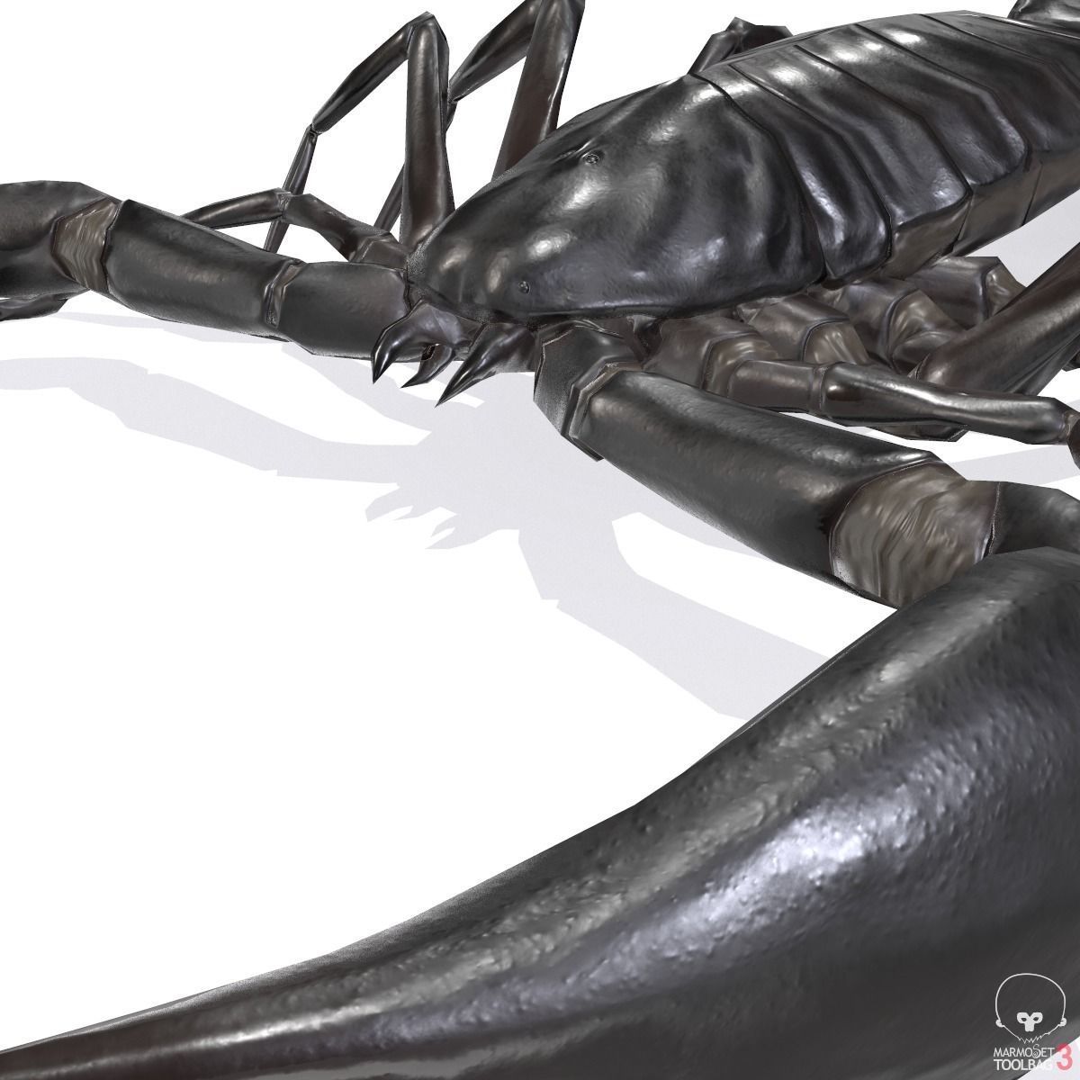 Photorealistic Black Scorpion Low-poly 3D model_7