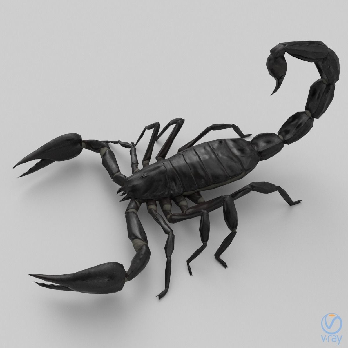 Photorealistic Black Scorpion Low-poly 3D model_10