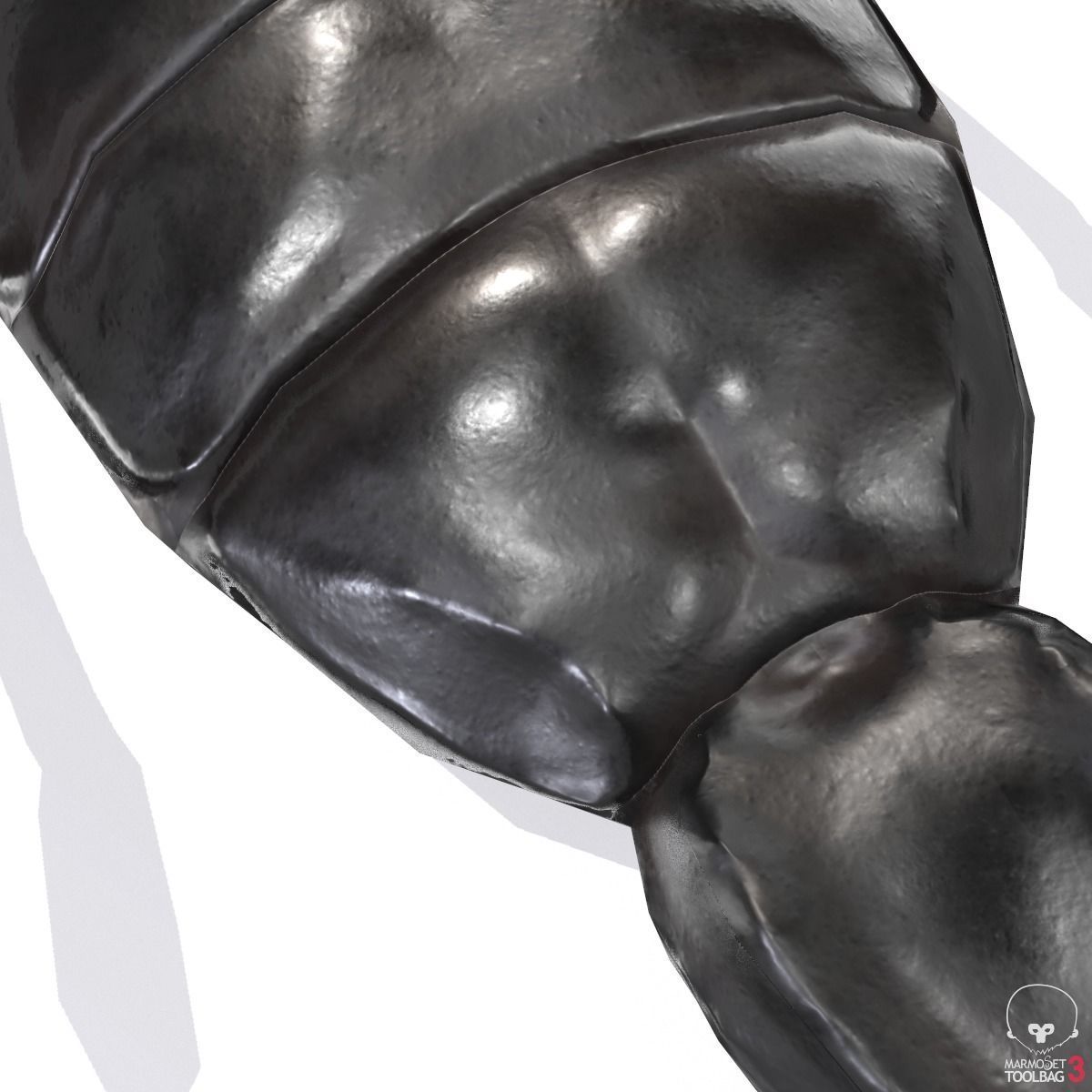 Photorealistic Black Scorpion Low-poly 3D model_8