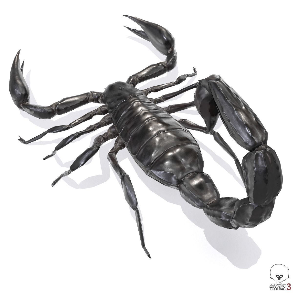 Photorealistic Black Scorpion Low-poly 3D model_4