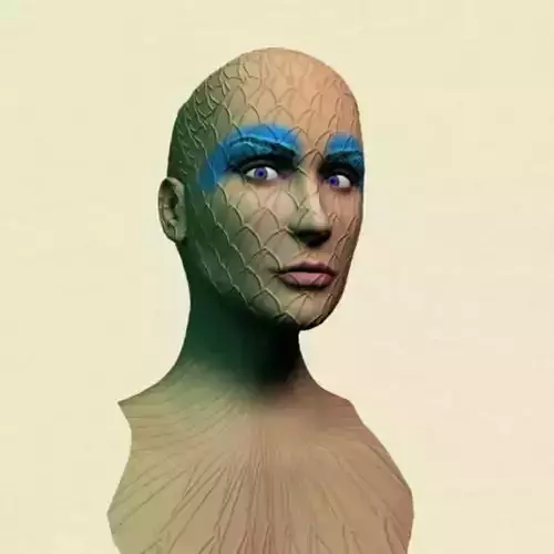 Focatry Free 3D model