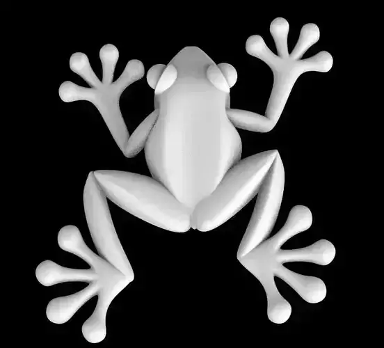 frog 01