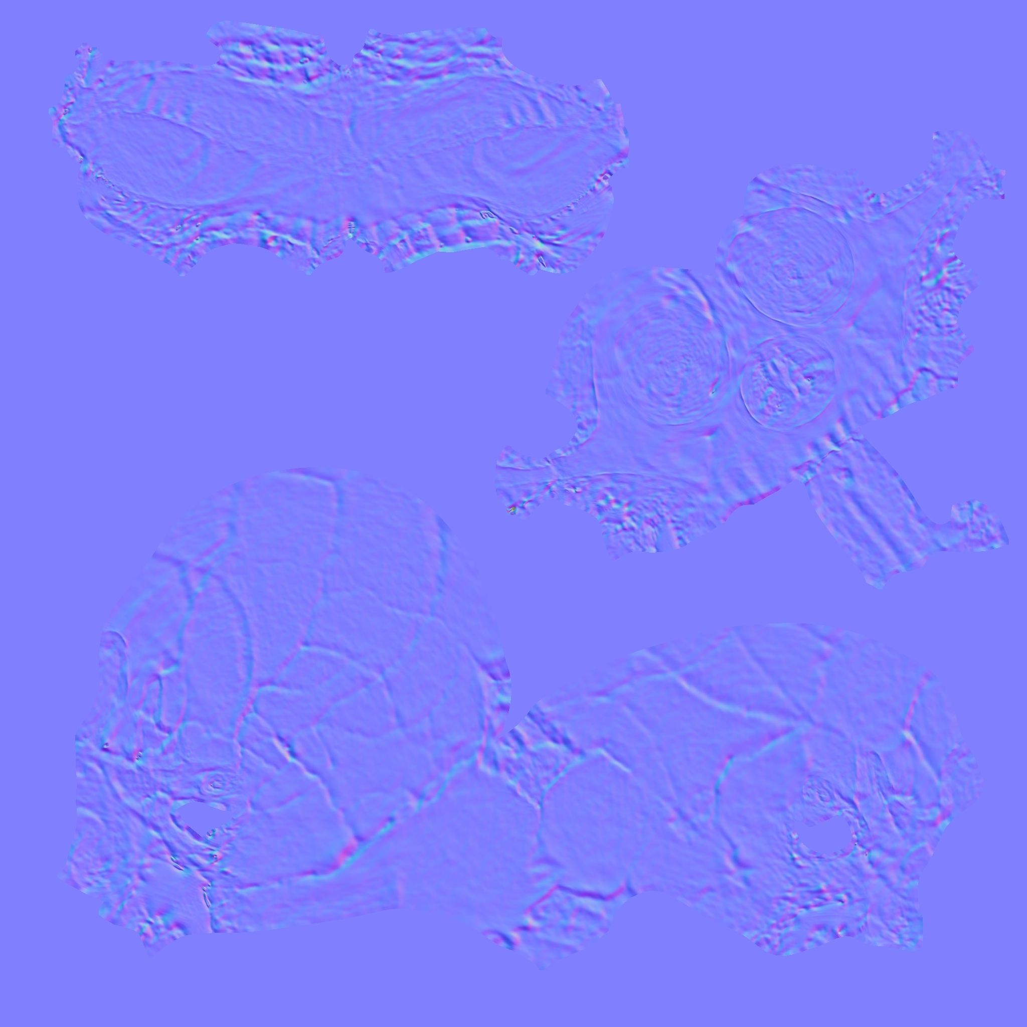 Homo Floresiensis skull 3D print model_11