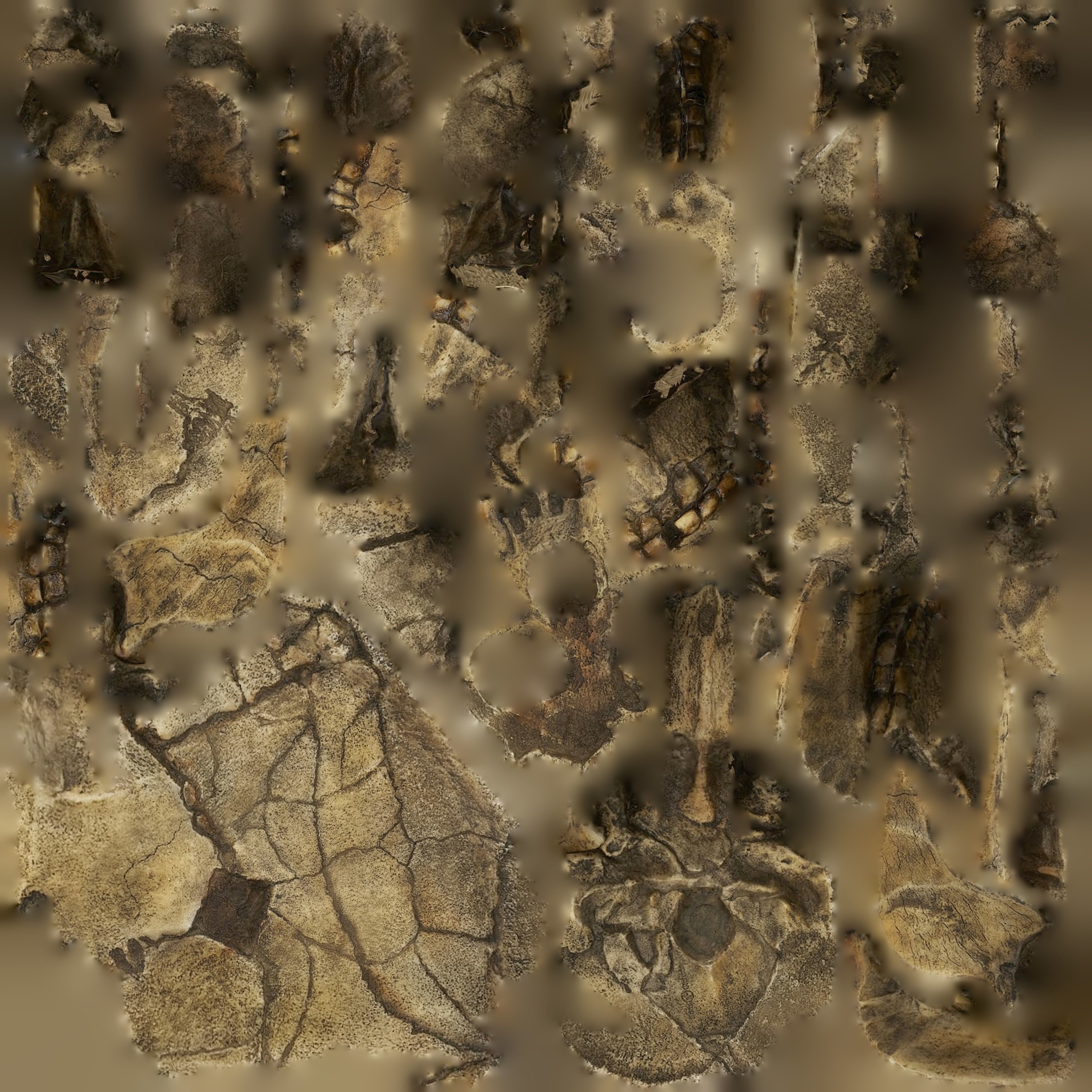 Homo Floresiensis skull 3D print model_12