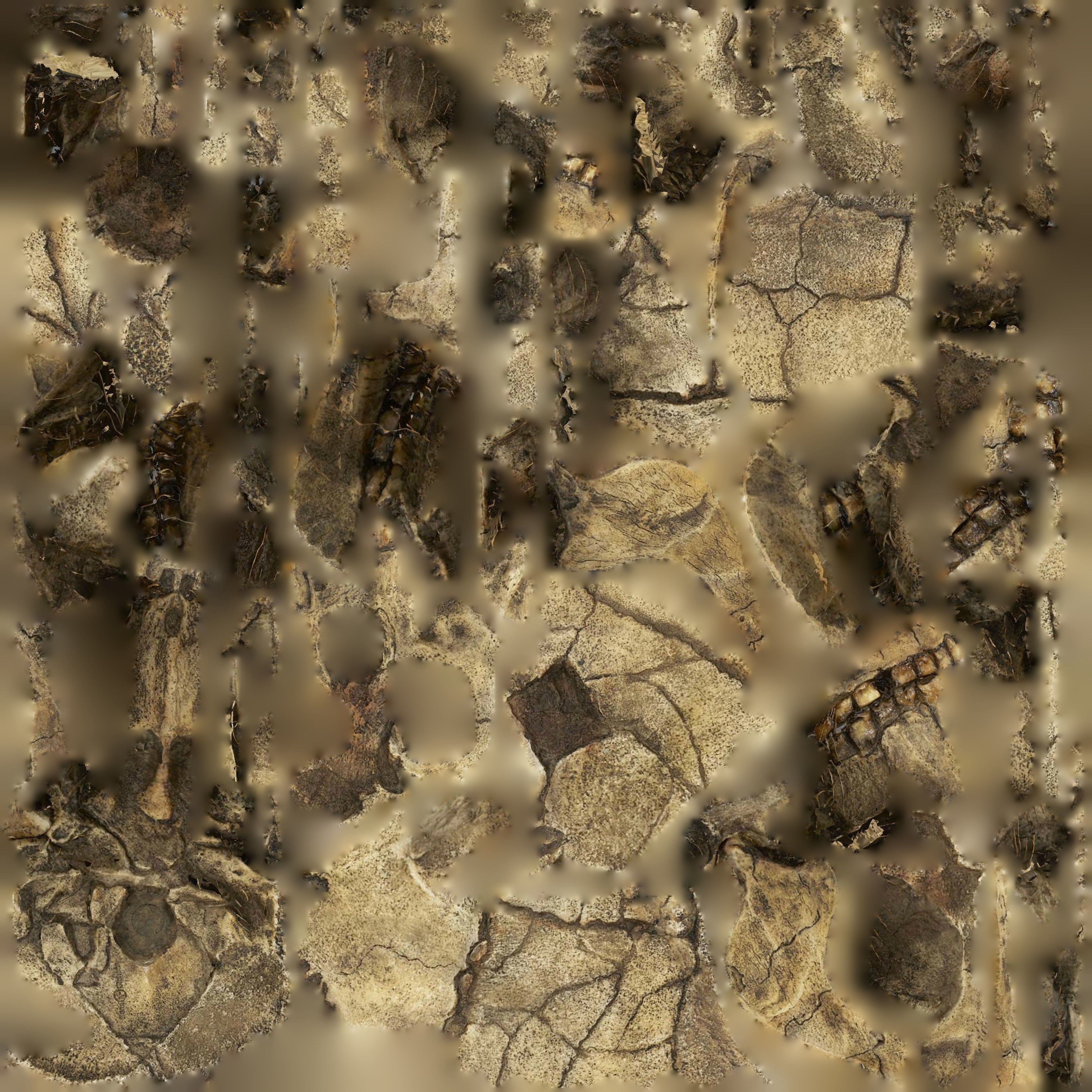 Homo Floresiensis skull 3D print model_9