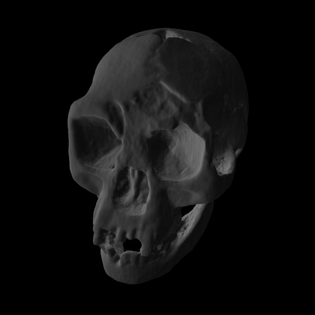 Homo Floresiensis skull 3D print model_4