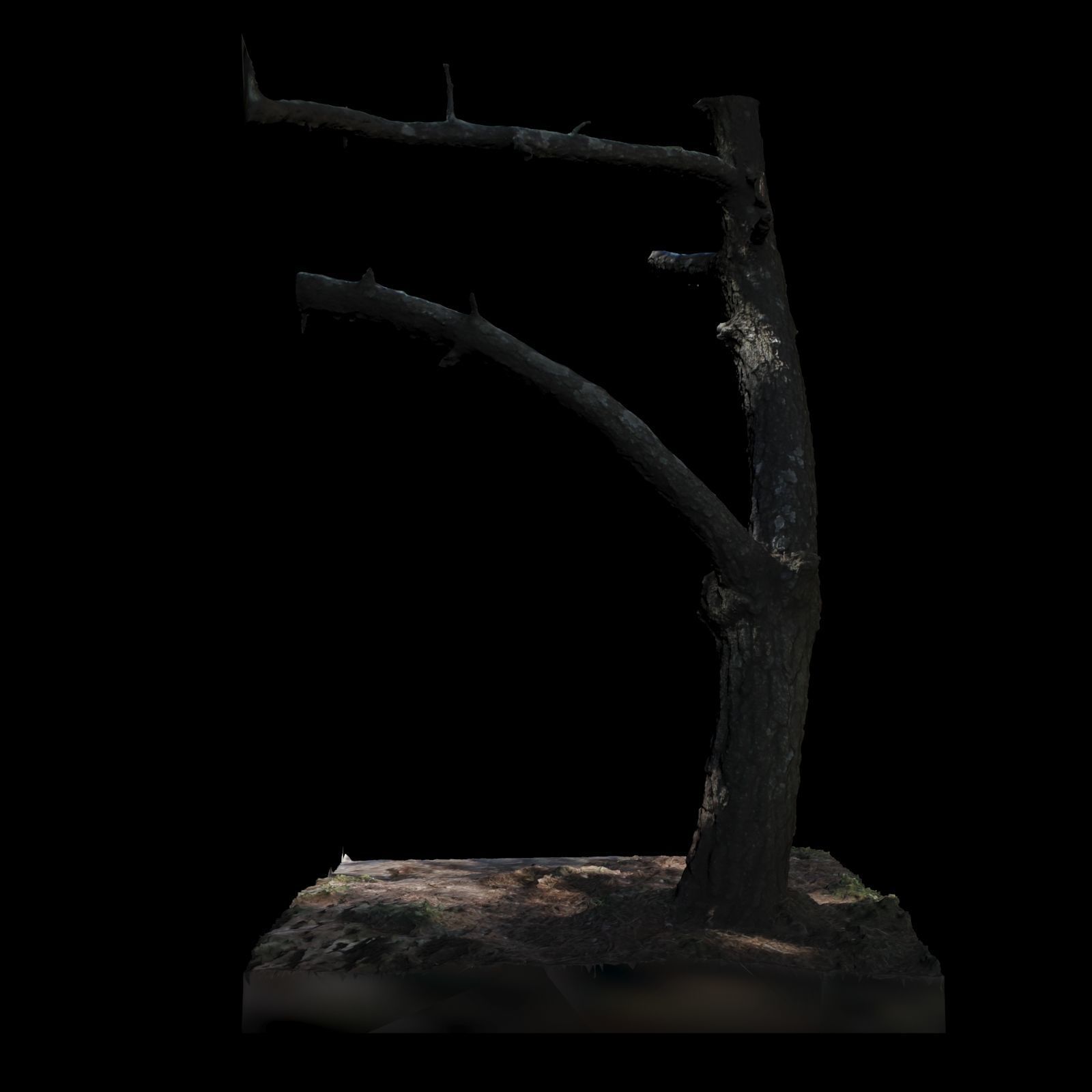 Big Tree 3D model_4