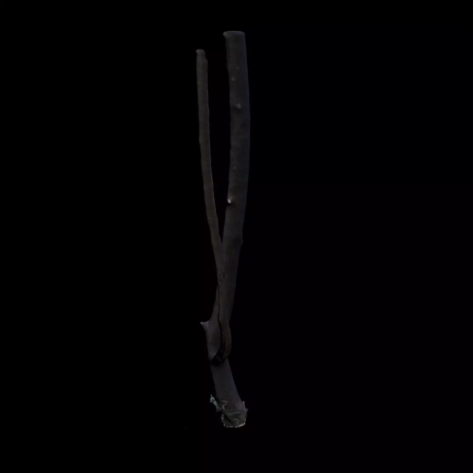 Small Tree 3D model