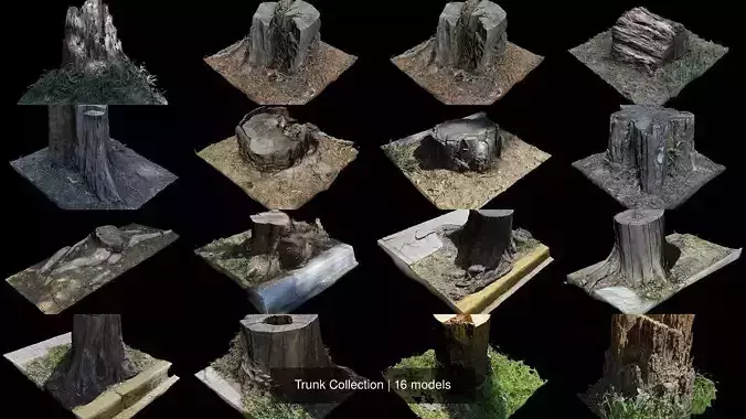 Trunk Collection tree stump 