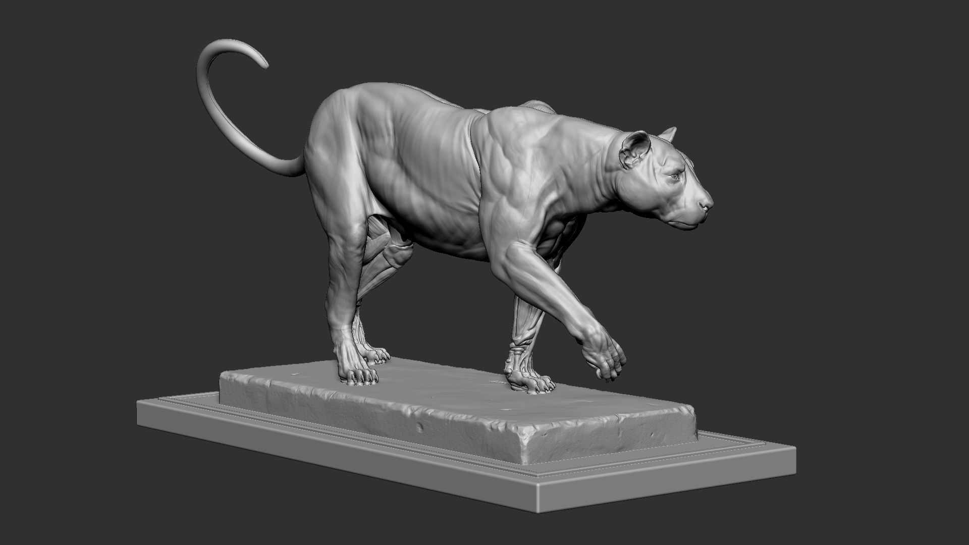 Leopard ecorche 3D print model_6