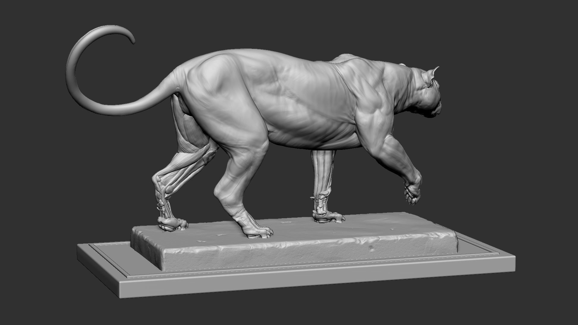 Leopard ecorche 3D print model_7