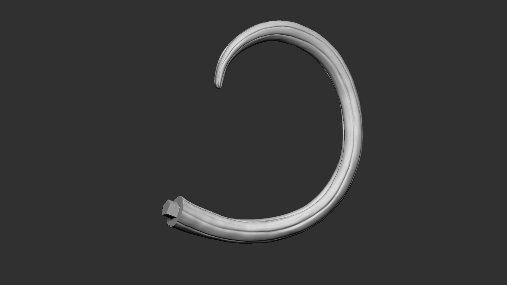 Leopard ecorche 3D print model_11