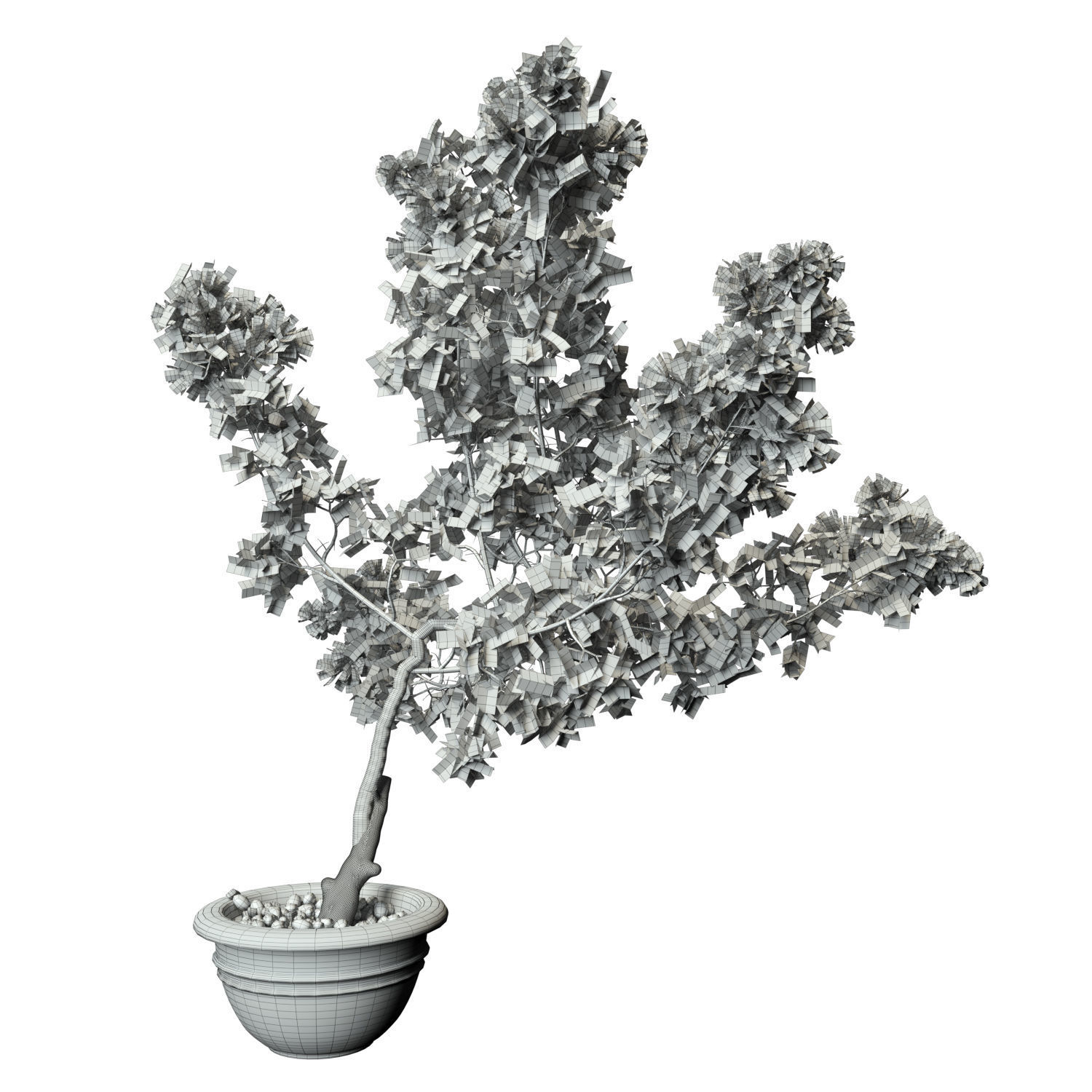 Bougainvillea lilac tree in pot 3D model_8