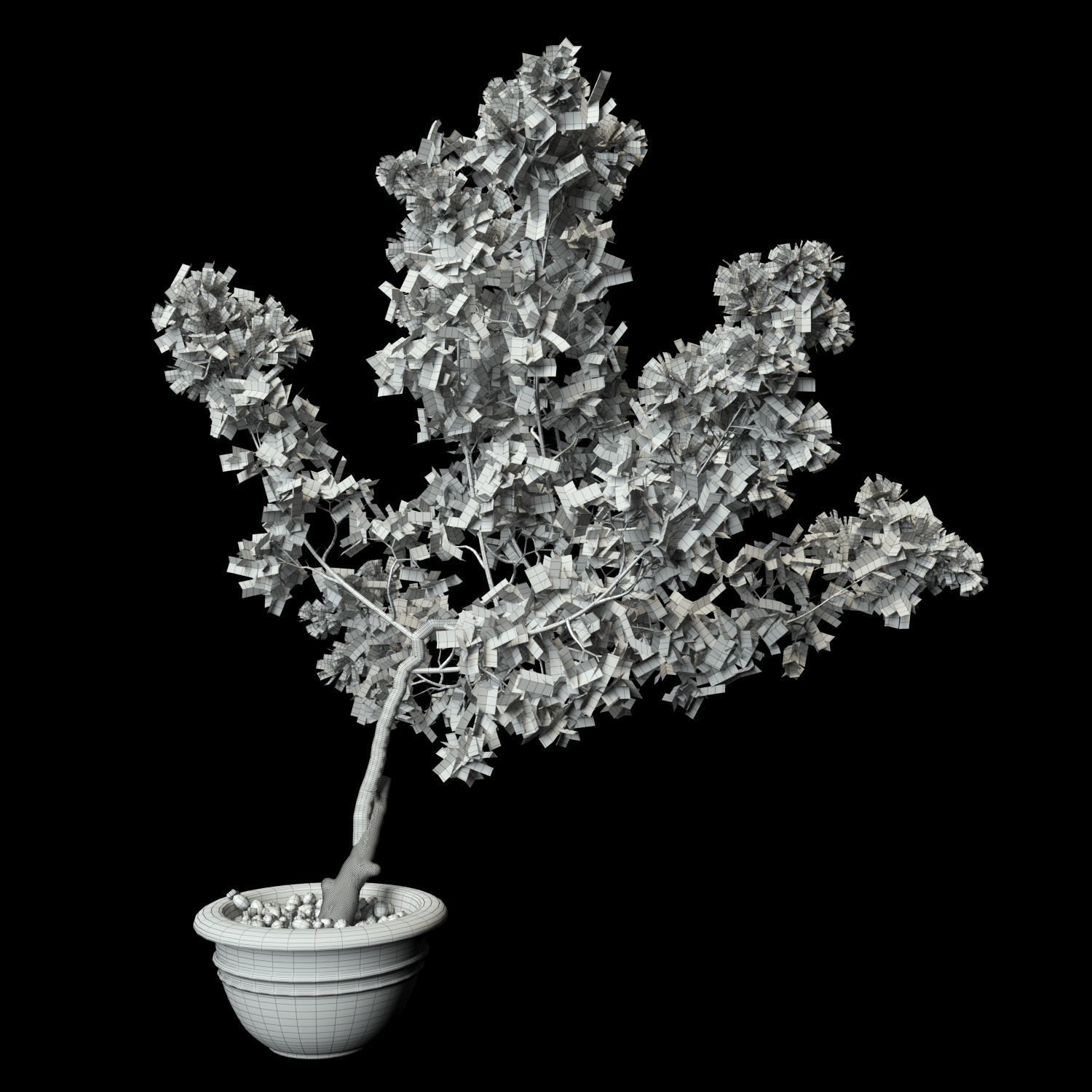 Bougainvillea lilac tree in pot 3D model_9