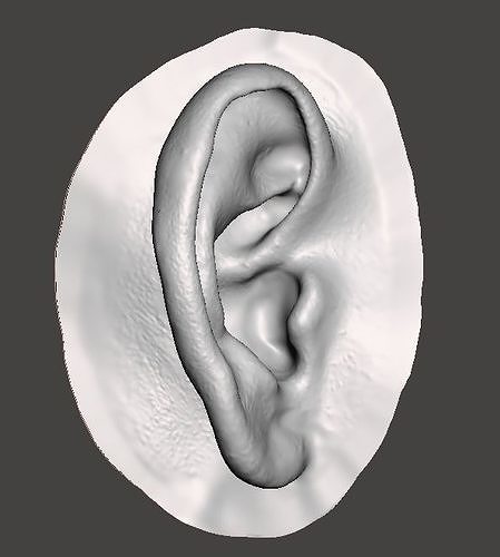 Natural human ear anatomy 3D print model