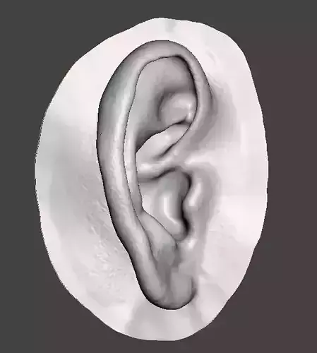 Natural human ear anatomy 3D print model