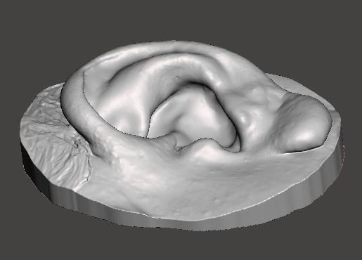Natural human ear anatomy left side 3D print model_1