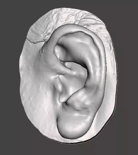 Natural human ear anatomy left side 3D print model_0