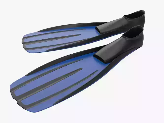 Flippers pair of swimming fins