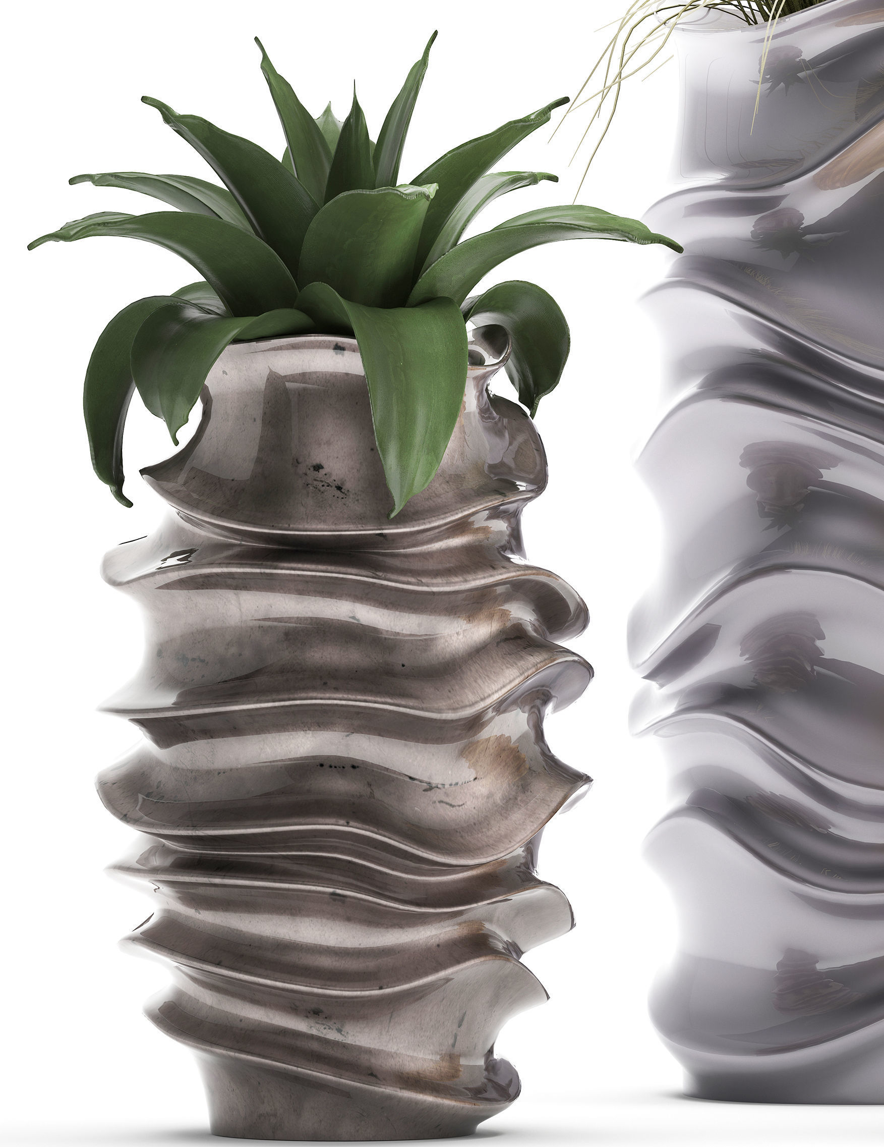 Collection of Exotic plants 3D model_3