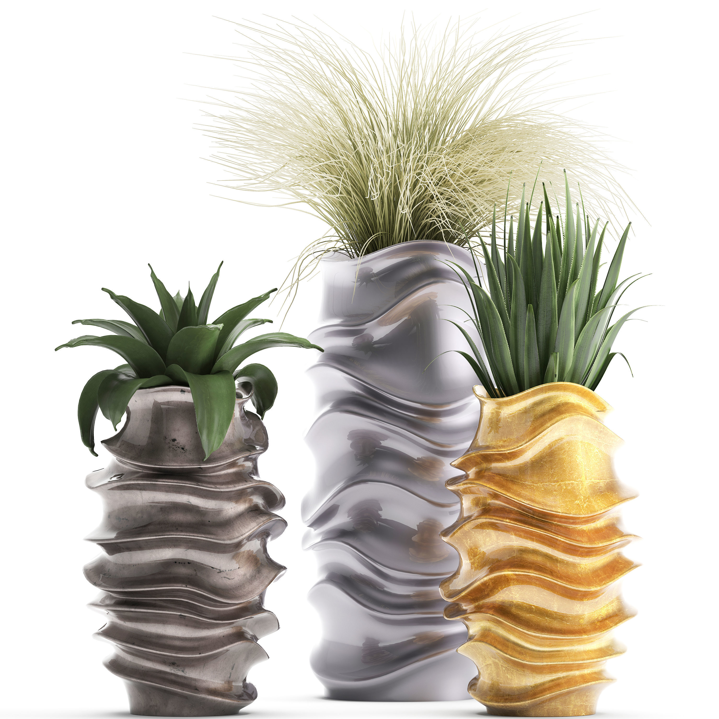 Collection of Exotic plants 3D model_1