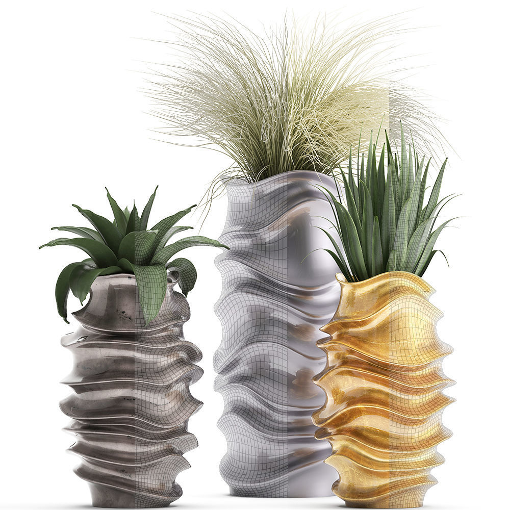 Collection of Exotic plants 3D model_7