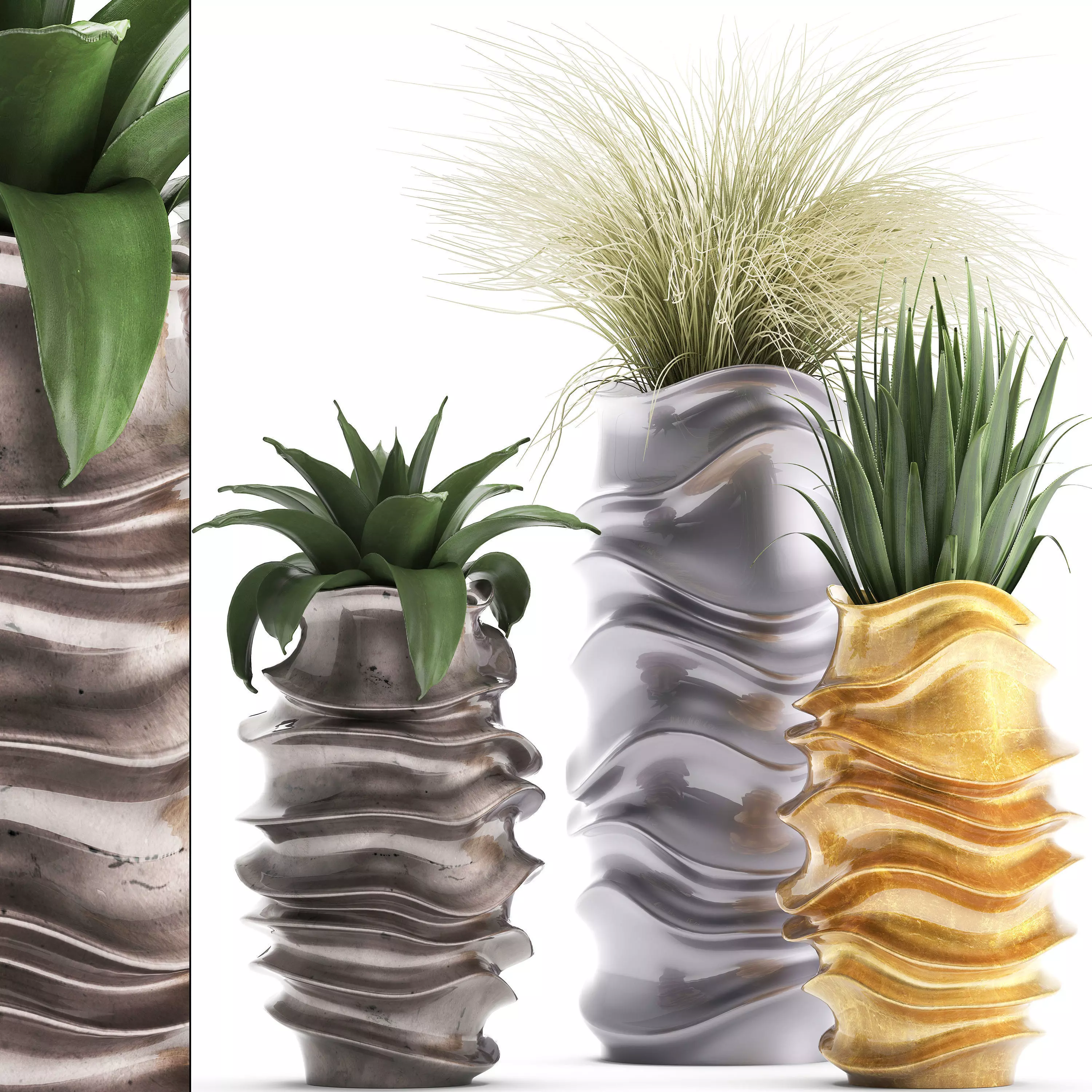 Collection of Exotic plants 3D model_0