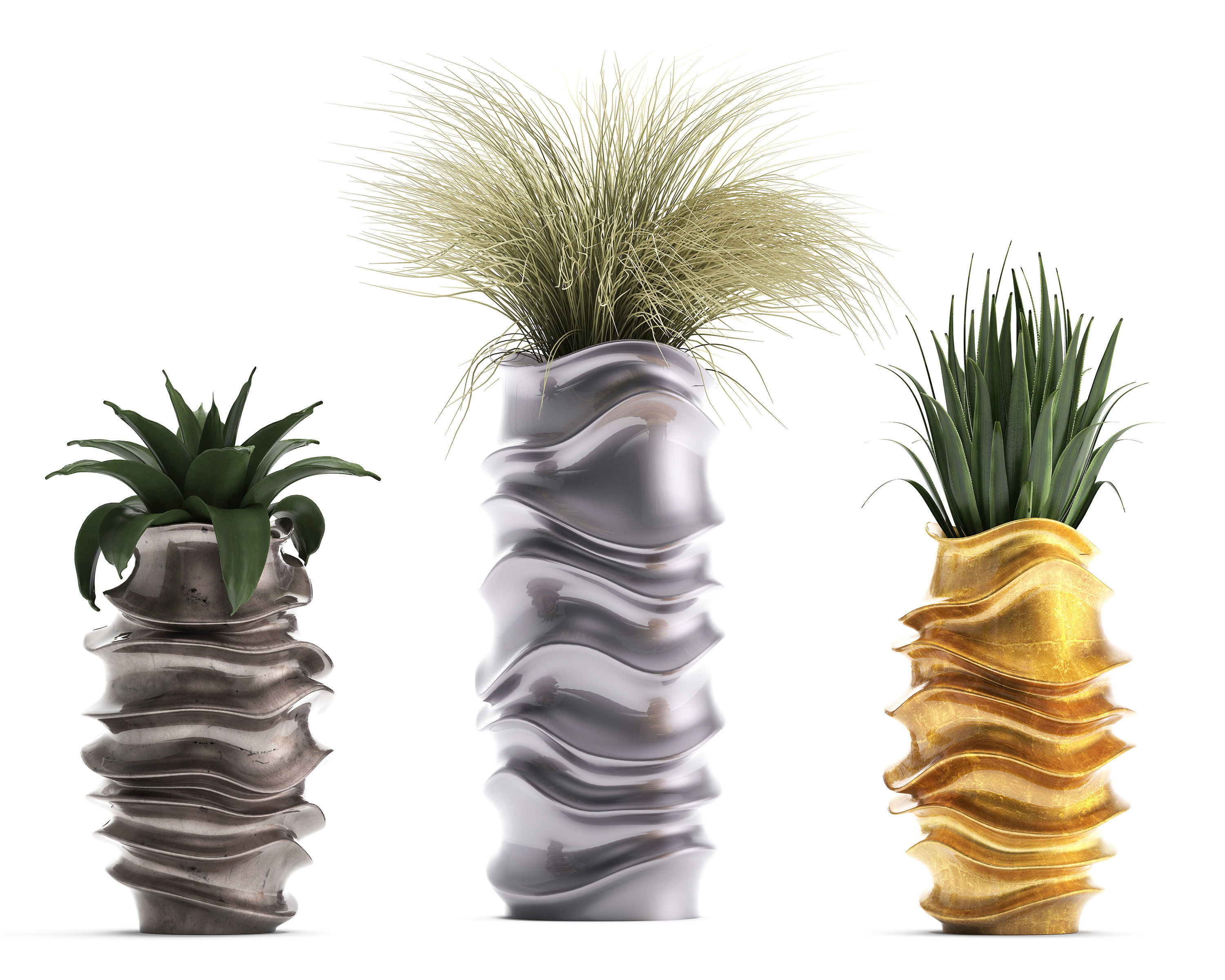 Collection of Exotic plants 3D model_4