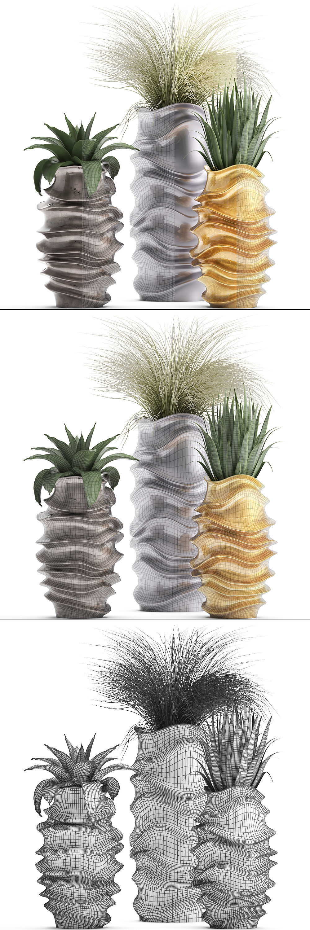 Collection of Exotic plants 3D model_10