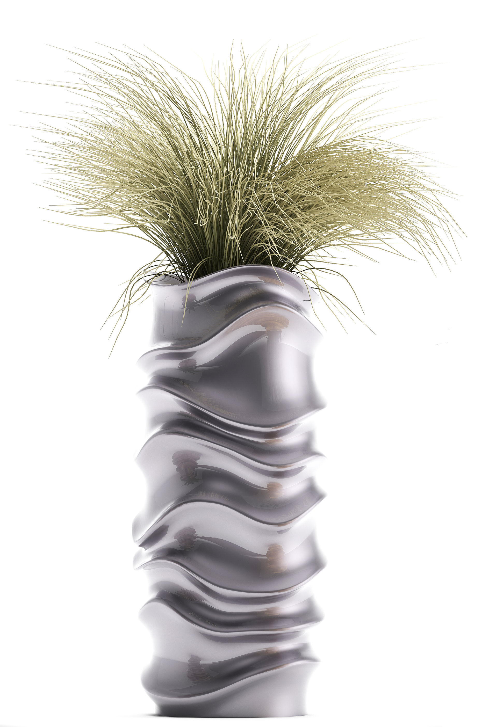 Collection of Exotic plants 3D model_6