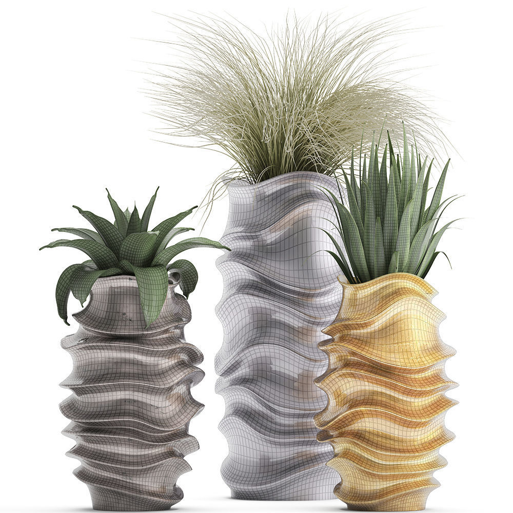 Collection of Exotic plants 3D model_8