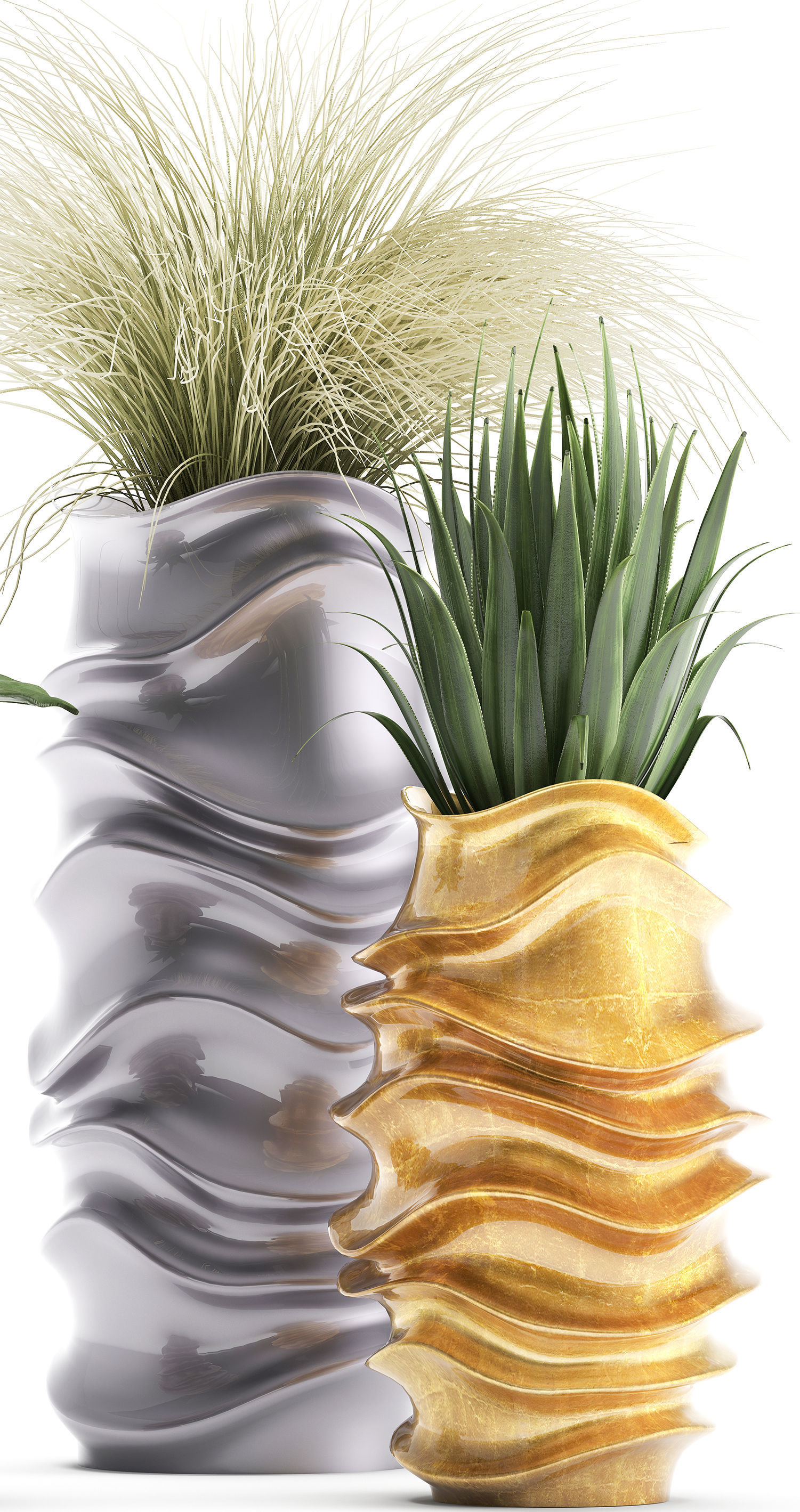 Collection of Exotic plants 3D model_2