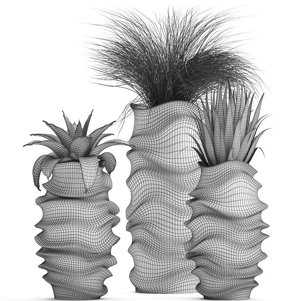 Collection of Exotic plants 3D model_9