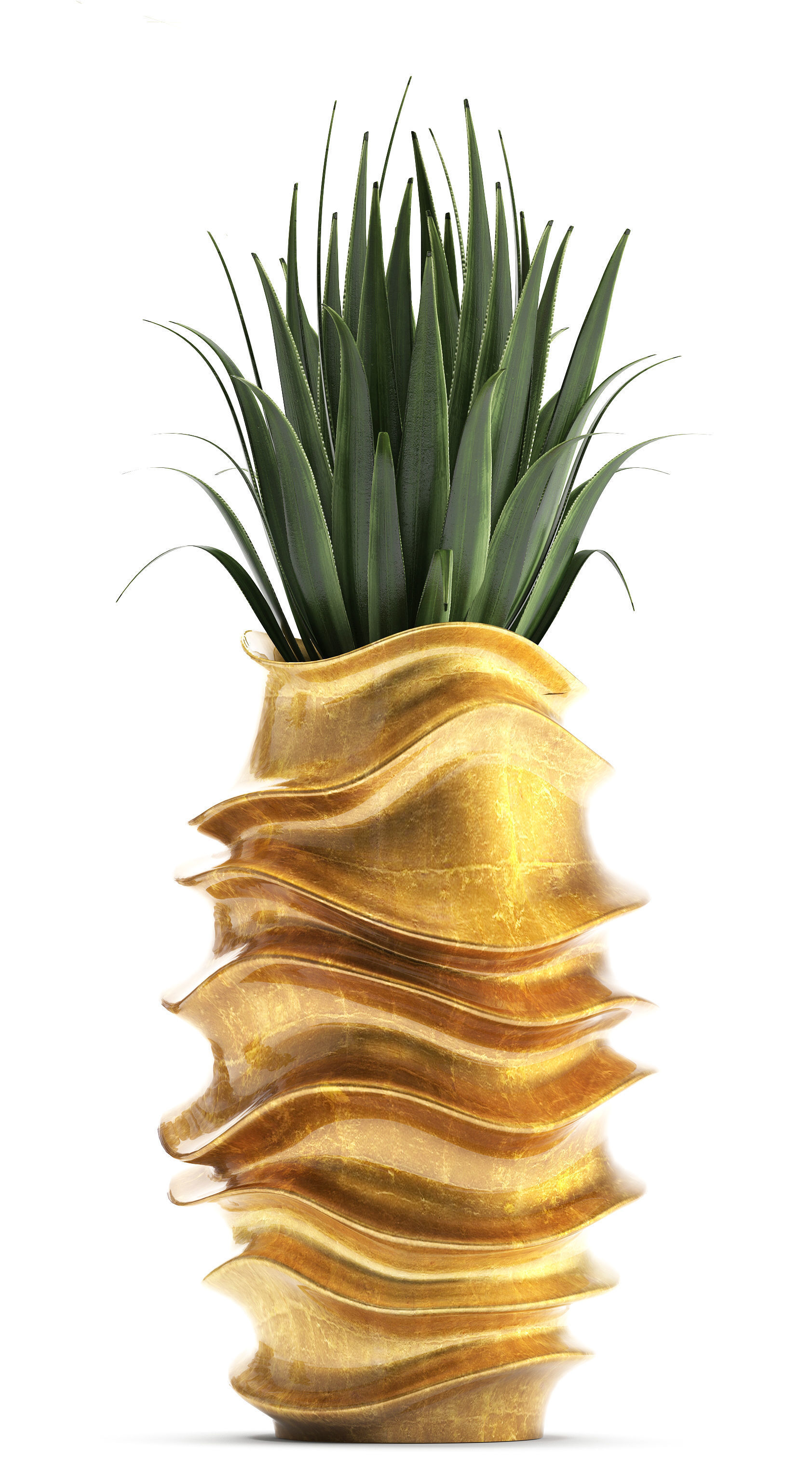 Collection of Exotic plants 3D model_11