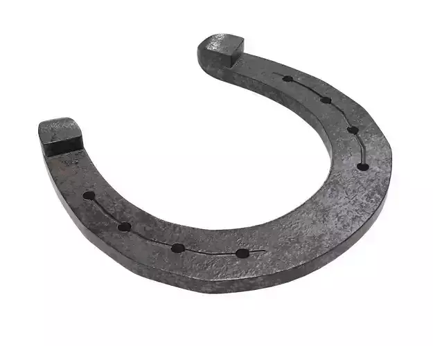 horseshoe