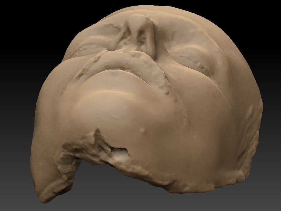 Death mask of Sigge Wulff 270mm 3D print model_4