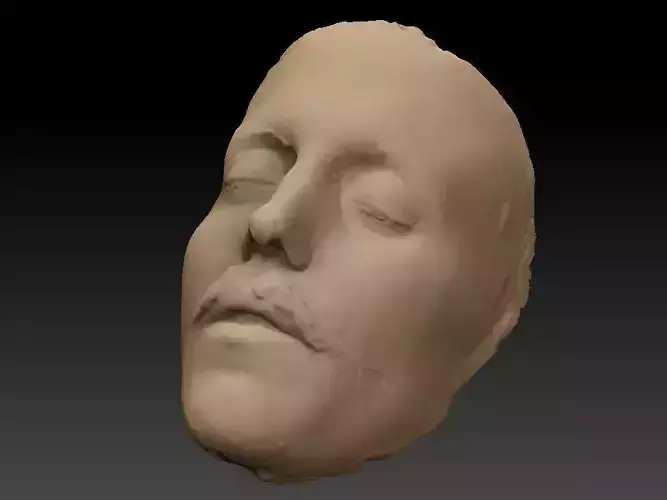 Death mask of Sigge Wulff 270mm