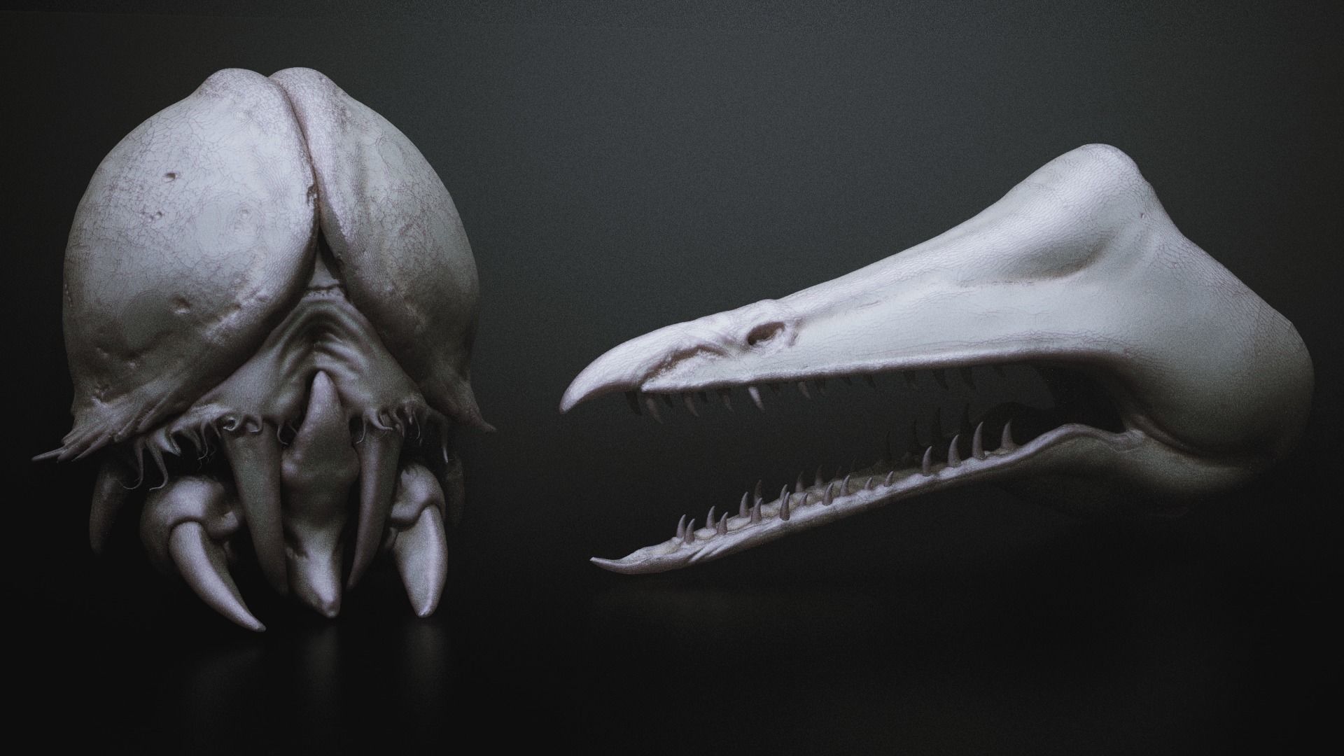 JAWS - 33 Monster Mouths and Skulls with IMM Brush and OBJs 3D model_9