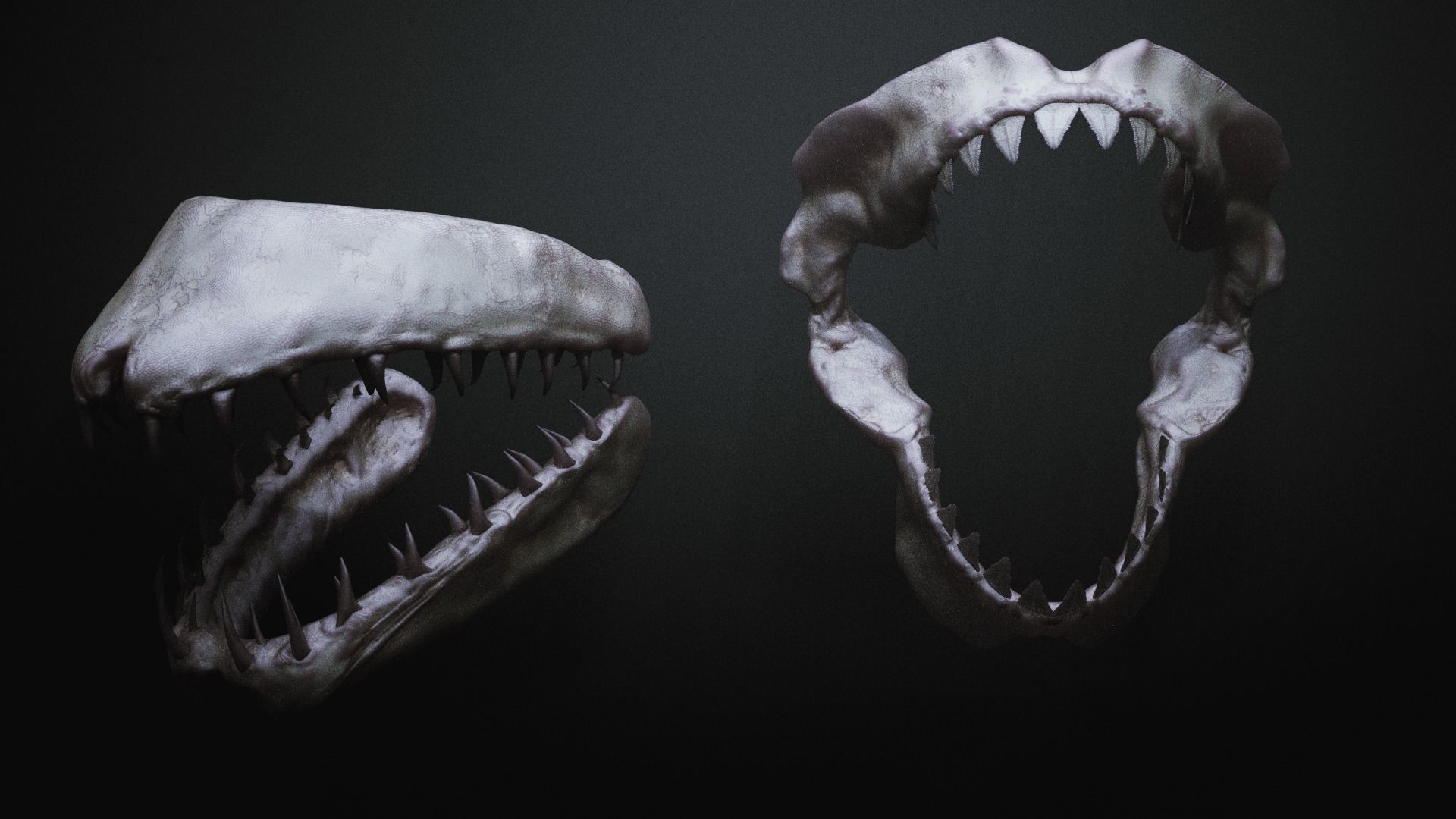 JAWS - 33 Monster Mouths and Skulls with IMM Brush and OBJs 3D model_15