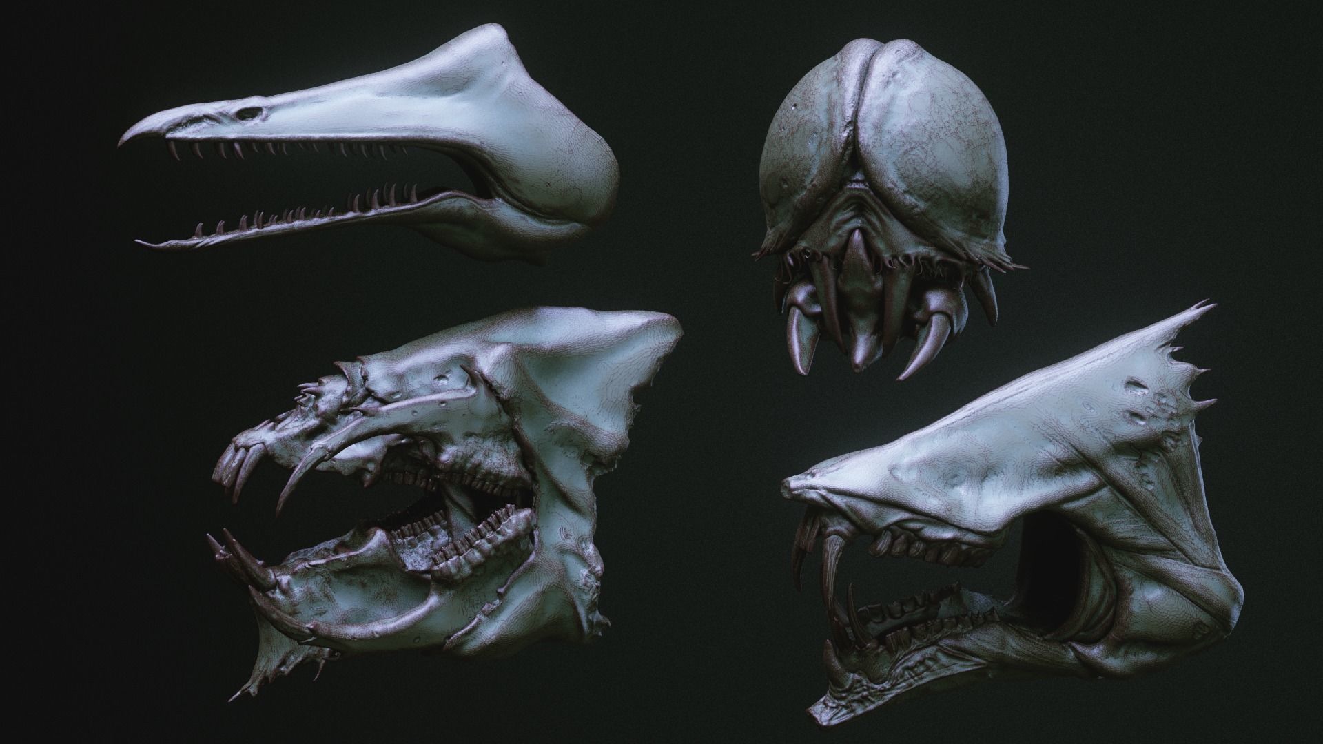 JAWS - 33 Monster Mouths and Skulls with IMM Brush and OBJs 3D model_28