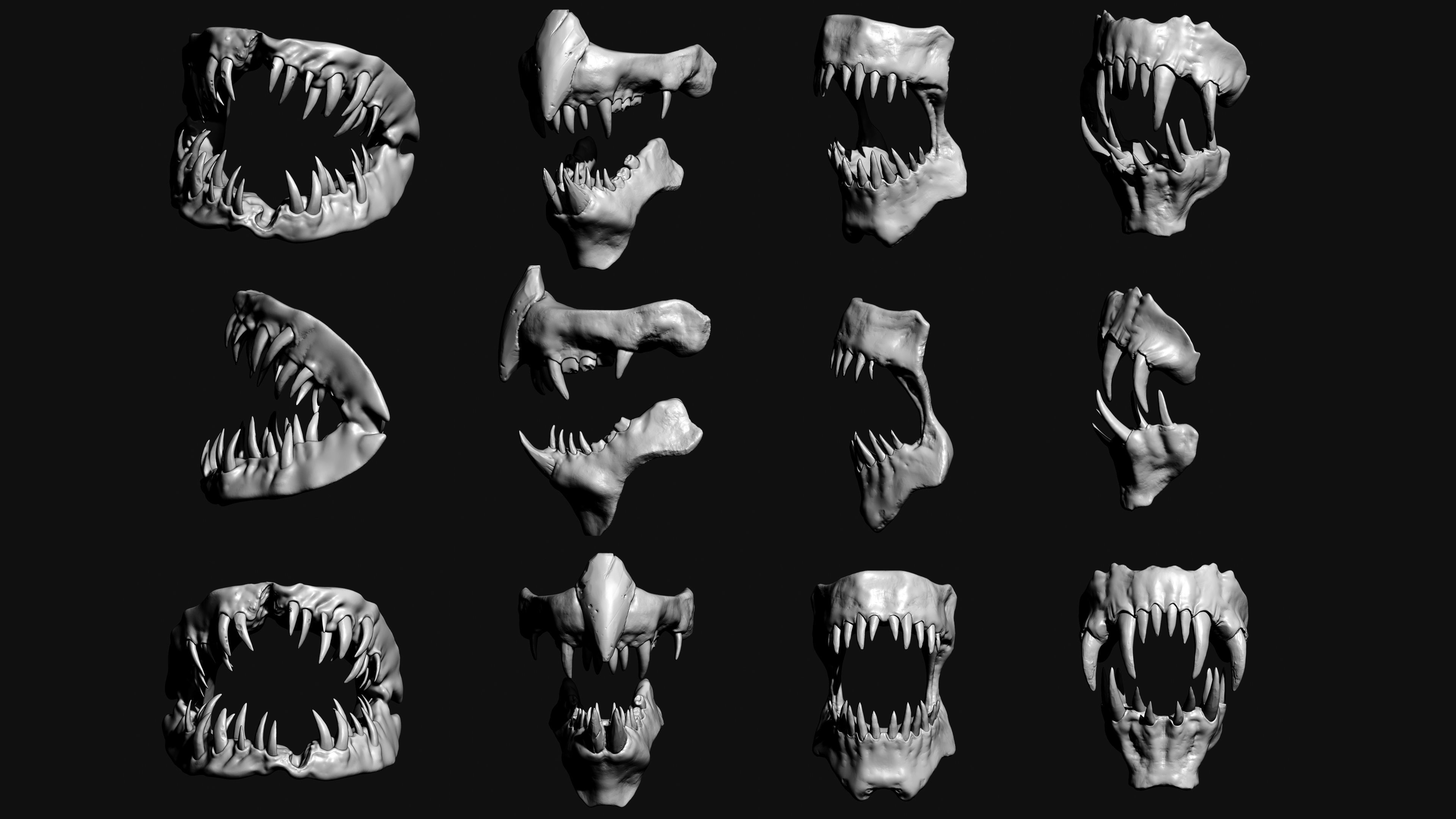 JAWS - 33 Monster Mouths and Skulls with IMM Brush and OBJs 3D model_25