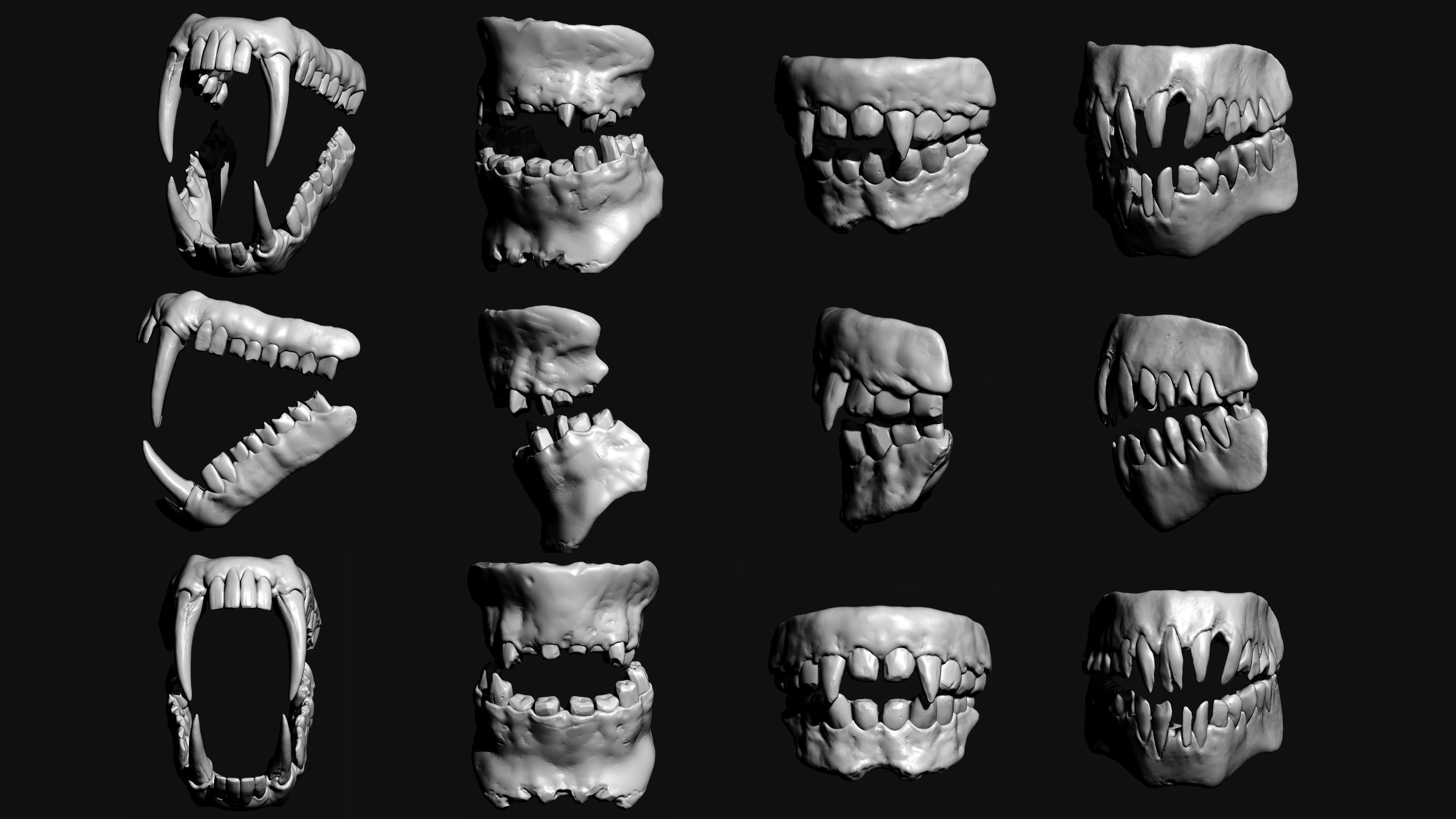 JAWS - 33 Monster Mouths and Skulls with IMM Brush and OBJs 3D model_26