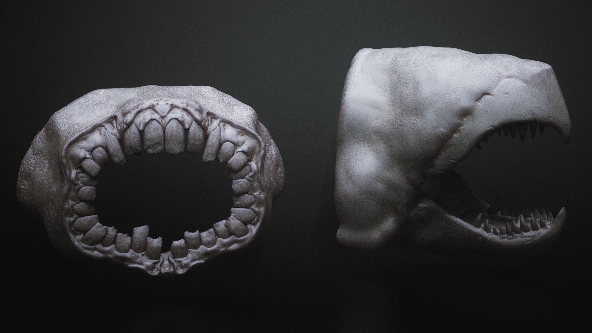 JAWS - 33 Monster Mouths and Skulls with IMM Brush and OBJs 3D model_13