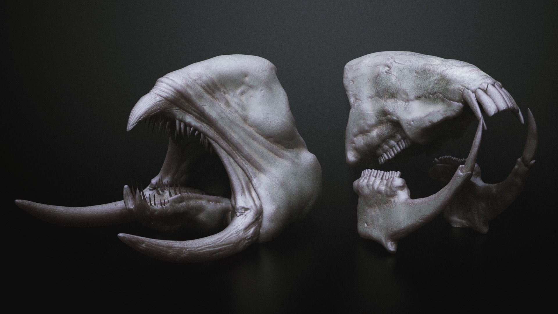 JAWS - 33 Monster Mouths and Skulls with IMM Brush and OBJs 3D model_8