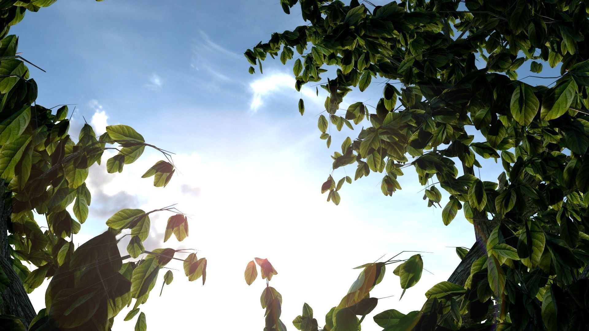 Broadleaves Pack 3D model_1