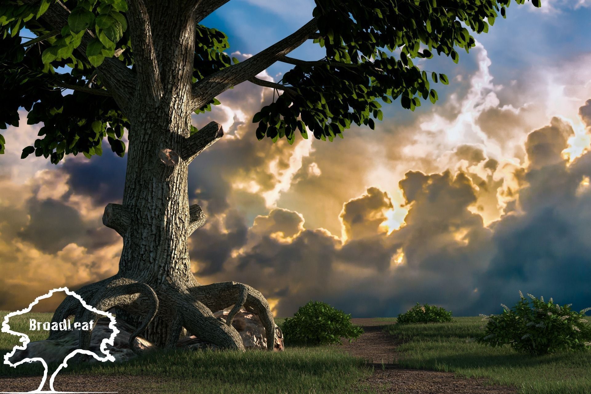 Broadleaves Pack 3D model_3