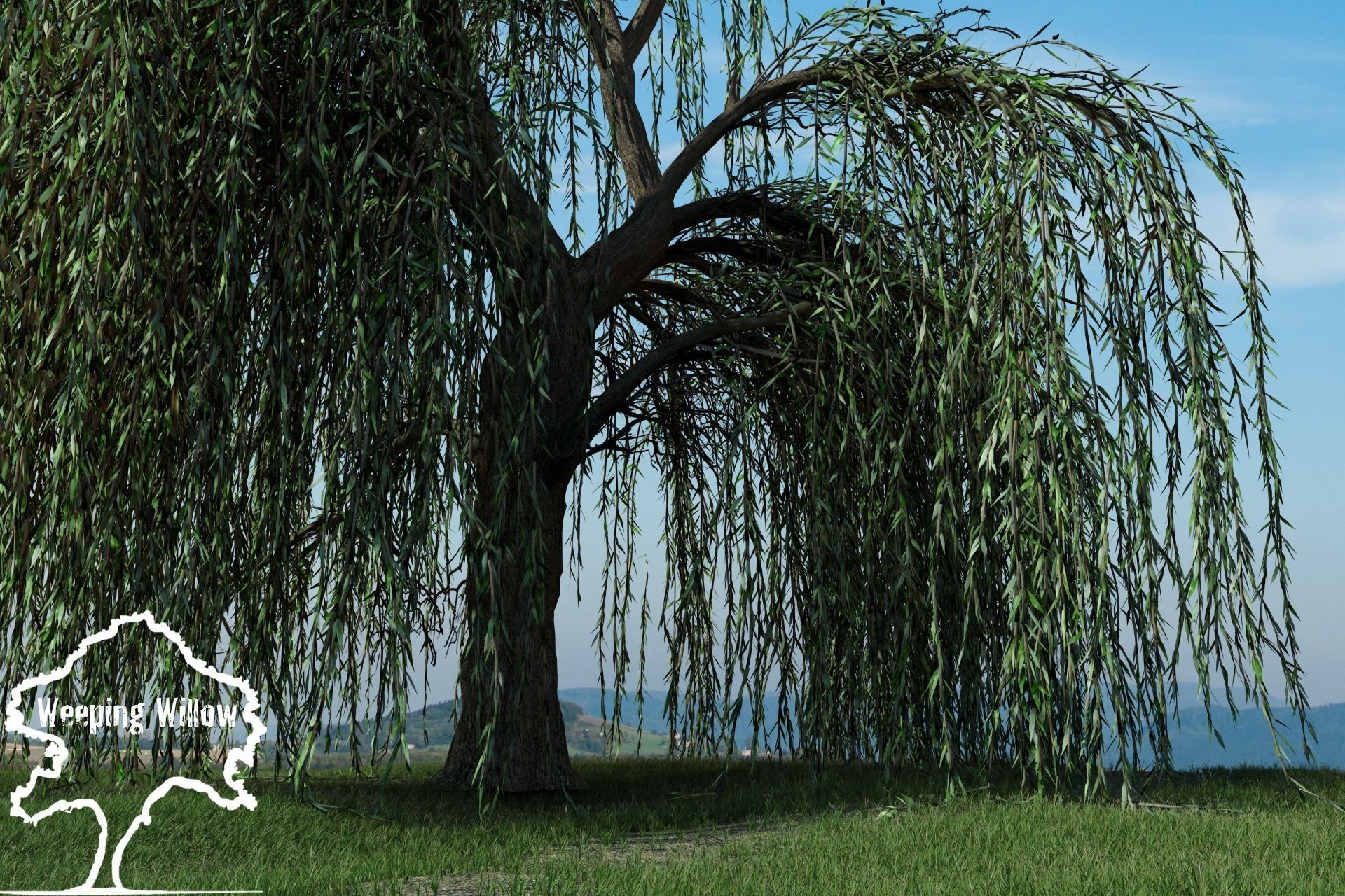 Broadleaves Pack 3D model_5