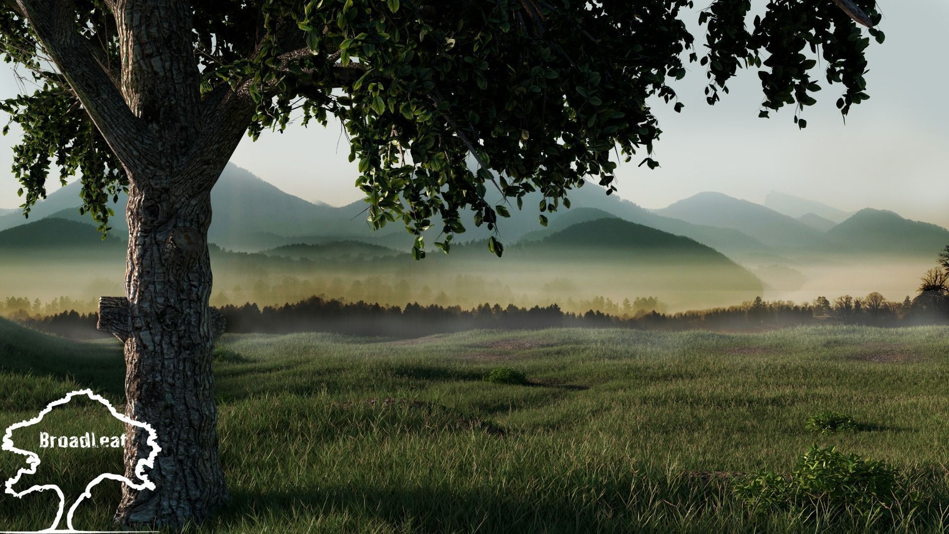 Broadleaves Pack 3D model_7