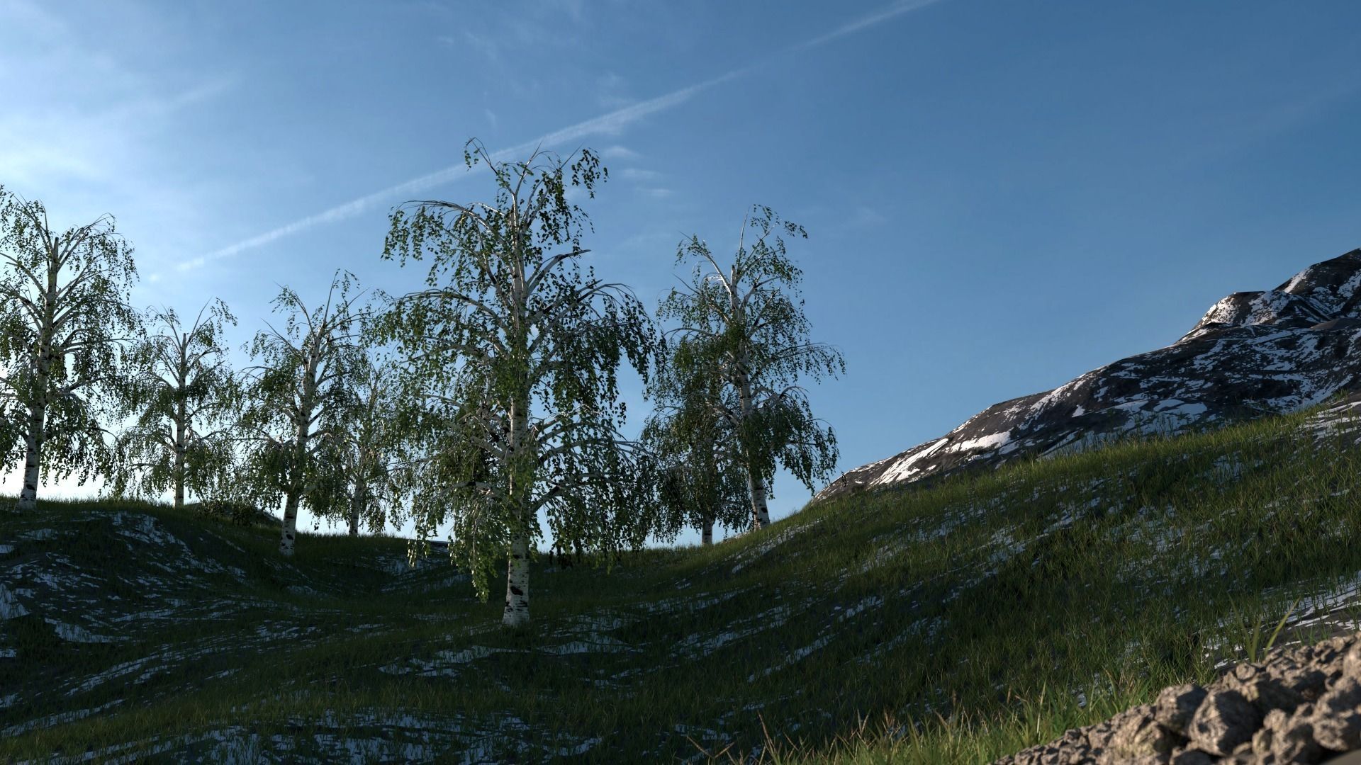 Broadleaves Pack 3D model_6